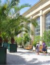 Le jardin des plantes